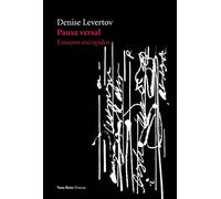 Pausa versal: Ensayos escogidos: 11 (Fisuras)