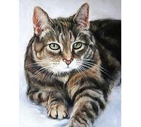 Pavemlo 5D Diamond Painting Completo Kits Gato Negro, DIY Kit de Pintura de Diamante Arte Animales, Completo Bordado Punto de Cruz Stitch Pedrería Pintura Manualidades para Decoración 30x40cm