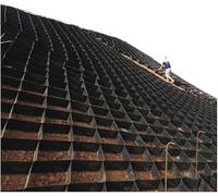 Pavimentos expandibles de 5 cm con agujeros, diseño de paisaje para calzadas, estacionamientos, jardines, casas rodantes y terrazas