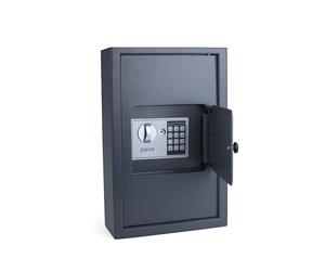 PAVO Armario de Gestión de Llaves de Alta Seguridad y Resistente para Exterior, con Capacidad para 50 Llaves - Gris, 8009022