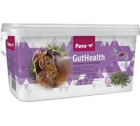 Pavo GutHealth 7,5 kg de Apoyo para el estómago y los intestinos