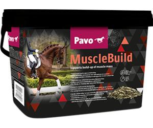 Pavo MuscleBuild - 3 kg Pavo