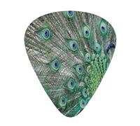 Pavo real mostrando plumas con las alas abiertas,12 púas de guitarra, 3 grosores diferentes para guitarra acústica, bajo y ukelele