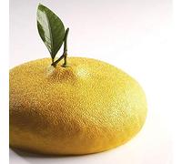 Pavoni - KE057 molde limón de Cédric Grolet