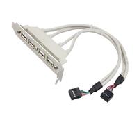 Pavsicgn Extensión USB de Placa Base, Cable del Panel de Placa Base | Encabezado del Panel Trasero de expansión - Expansión de Interfaz múltiple para una conexión de Alta Velocidad, 30 cm de Largo