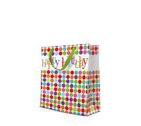 PAW - Bolsas de Regalo 20 x 25 x 10 cm - Pack de 10 Bolsas de Regalo Mediano con Asa de Tela, Colores Bolsas para Cumpleaños, Bodas, Baby Showers, Fiestas y Regalos