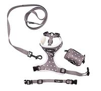 Paw Highness Juego de arnés para pasear Perros, Collar, Correa y Soporte para Bolsa de Caca en Color Gris, diseño de Lunares, Extra pequeño