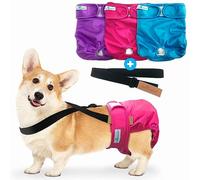 Paw Inspired Pañales reutilizables lavables para perros (paquete de 3), medianos en varios colores con forro blanco y tirantes de pañales para perros en negro, paquete combinado S/M