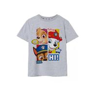 Paw Patrol Boys Camiseta Gris de Manga Corta | Paw-Some Peekaboo - Una Camiseta Genial para pequeños buscadores de Aventuras | Únete a la Patrulla de Cachorros - 3-4 años