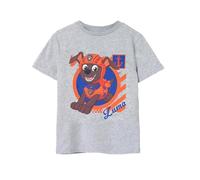 Paw Patrol Boys De Camiseta Gris | Diseño Acuático Zuma | Mercancía Auténtica Camiseta Cómoda Y Elegante para Rescatistas Acuáticos
