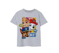 Paw Patrol Gris Peekaboo Camiseta de manga corta Muchachos