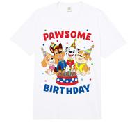 Paw Patrol Pawsome Birthday Cake Comfort Colors Adult Heavyweight T-Shirt