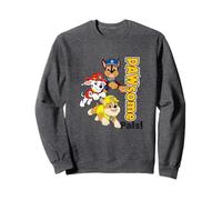 Paw Patrol Pawsome Pals Bold Vertical Text Design Sudadera