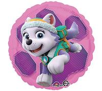 Paw Patrol Skye & Everest - Standard Circle