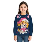 Paw Patrol Winter Sweater for Girls - Skye Winter Knit Sweater Ugly Sweater Blue/Pink (DE/NL/SE/PL, Numeric, 110, 116, Regular, Blue/Pink)