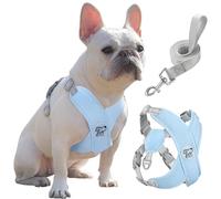 Pawaboo Arnés Perros con Correa, Arnes Tipo Chaleco para Perros Pequeños Medianos, Arnés Ajustable Antitirones Transpirable Acolchado de Forma X para Cachorros Gatos Caminar Entrenamiento, L, Azul