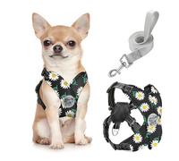 Pawaboo Arnés Perros con Correa, Arnes Tipo Chaleco para Perros Pequeños Medianos, Arnés Ajustable Antitirones Transpirable Acolchado de Forma X para Cachorros Gatos Caminar, S, Margarita Negra