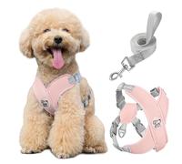 Pawaboo Arnés Perros con Correa, Arnes Tipo Chaleco para Perros Pequeños Medianos, Arnés Ajustable Antitirones Transpirable Acolchado de Forma X para Cachorros Gatos Caminar Entrenamiento, M, Rosa