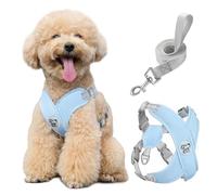 Pawaboo Arnés Perros con Correa, Arnes Tipo Chaleco para Perros Pequeños Medianos, Arnés Ajustable Antitirones Transpirable Acolchado de Forma X para Cachorros Gatos Caminar Entrenamiento, M, Azul