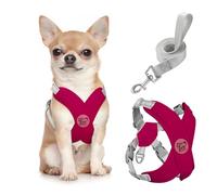 Pawaboo Arnés Perros con Correa, Arnes Tipo Chaleco para Perros Pequeños Medianos, Arnés Ajustable Antitirones Transpirable Acolchado de Forma X para Cachorros Gatos Caminar Entrenamiento, S, Magenta