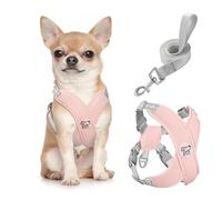Pawaboo Arnés Perros con Correa, Arnes Tipo Chaleco para Perros Pequeños Medianos, Arnés Ajustable Antitirones Transpirable Acolchado de Forma X para Cachorros Gatos Caminar Entrenamiento, S, Rosa