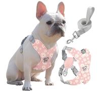 Pawaboo Arnés Perros con Correa, Arnes Tipo Chaleco para Perros Pequeños Medianos, Arnés Ajustable Antitirones Transpirable Acolchado de Forma X para Cachorros Gatos Caminar, L, Rosa Margarita