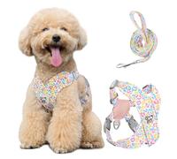 Pawaboo Arnés y Correa para Perros Pequeños, Arnés en X para Cachorros sin Tirar sin Estrangular, Arnéss Chaleco Ajustable para Perros de Tamaño Pequeño y Mediano, M, Leopardo de Colores