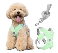 Pawaboo Arnés y Correa para Perros Pequeños, Arnés en X para Cachorros sin Tirar sin Estrangular, Arnéss Chaleco Ajustable para Perros de Tamaño Pequeño y Mediano, M, Menta Verde