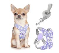 Pawaboo Arnés y Correa para Perros Pequeños, Arnés en X para Cachorros sin Tirar sin Estrangular, Arnéss Chaleco Ajustable para Perros de Tamaño Pequeño y Mediano, S, Margarita Púrpura