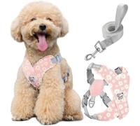 Pawaboo Conjunto de arnés y Correa Ajustable para Perros pequeños