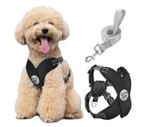 Pawaboo Conjunto de arnés y Correa Ajustable para Perros pequeños