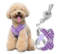 Pawaboo Arnés y Correa para Perros Pequeños, Arnés en X para Cachorros sin Tirar sin Estrangular, Arnéss Chaleco Ajustable para Perros de Tamaño Pequeño y Mediano, M, Morado Plaid