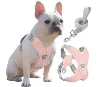 Pawaboo Conjunto de arnés y Correa Ajustable para Perros pequeños
