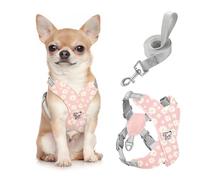Pawaboo Arnés y Correa para Perros Pequeños, Arnés en X para Cachorros sin Tirar sin Estrangular, Arnéss Chaleco Ajustable para Perros de Tamaño Pequeño y Mediano, S, Rosa Margarita