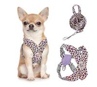 Pawaboo Arnés y Correa para Perros Pequeños, Arnés en X para Cachorros sin Tirar sin Estrangular, Arnéss Chaleco Ajustable para Perros de Tamaño Pequeño y Mediano, S, Leopardo Rosa
