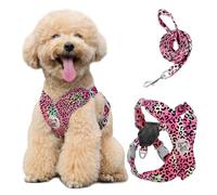Pawaboo Conjunto de arnés y Correa Ajustable para Perros pequeños