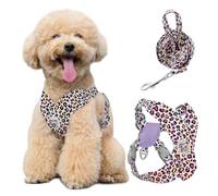 Pawaboo Arnés y Correa para Perros Pequeños, Arnés en X para Cachorros sin Tirar sin Estrangular, Arnéss Chaleco Ajustable para Perros de Tamaño Pequeño y Mediano, M, Leopardo Rosa