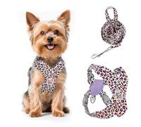 Pawaboo Conjunto de arnés y correa ajustable para perros pequeños | Arnés tipo chaleco para perros pequeños y medianos, antitiro y sin ahogo; arnés suave y transpirable (XS Leopardo Rosa)