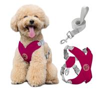 Pawaboo Conjunto de arnés y Correa Ajustable para Perros pequeños | Arnés tipo chaleco para perros pequeños y medianos, antitiro y sin ahogo; arnés suave y transpirable para paseos (M, Magenta)