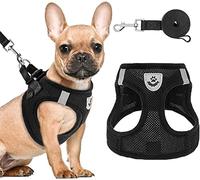 PAWCHIE Juego de arnés y Correa para Cachorros, arnés de Malla Suave para Perro, arnés Reflectante y Ajustable para Perros pequeños a medianos, Gatos y Cachorros