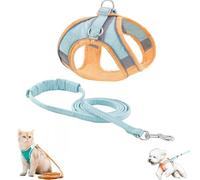 Pawfectly Safe Cat Harness and Leash Set, Pawfectly Safe Cat Harness, Pawfectly Harness, Adjustable Cat Harness Escape Proof, Adjustable Reflective Step-in Design, for Cat, Dog (XXS,Orange Blue)