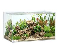 PawHut 43L Acuario Transparente 50x30x30cm con Base Protectora | Acuario de vidrio, acuario pequeño, para camarones, tortugas