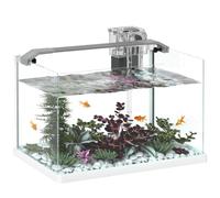 PawHut Acuario de Vidrio con LED, 20L, Bomba de Filtro, Blanco | Acuario 20L, para peces betta, para peces dorados
