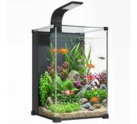 PawHut Juego completo de acuario 36L Nano Aquarium con iluminación LED y sistema de filtración, tanque de peces con bomba, acuario ideal para principiantes para peces y plantas, 30 x 30 x 45,5 cm