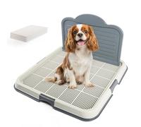 Pawise - Soporte para almohadilla de orina con pared, bandeja para almohadillas de entrenamiento, bandeja de entrenamiento de malla para una fácil limpieza, 60 cm x 60 cm + almohadilla para orina (4