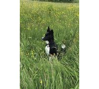 Paws and Petals Notebook