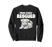 Paws-Itively Rescatado Animal Rescue Lover Rescatador de mascotas Sudadera