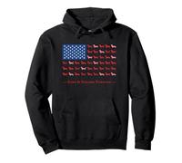 Paws Stripes 4th July Flag Black Long Haired Dachshund Lover Sudadera con Capucha