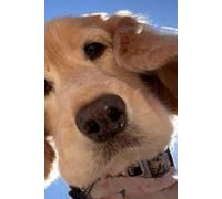 Paws & Thoughts: A Dog Lover’s Notebook for Daily Notes, Doodles, and Dreams: Cute Lined Journal for Dog Moms, Dog Dads & Pet Lovers - 200 Pages, 6x9