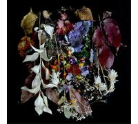 Paws - Your Church On My Bonfire [Vinilo]